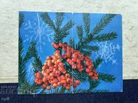 Old Postcard - USSR - Happy New Year!