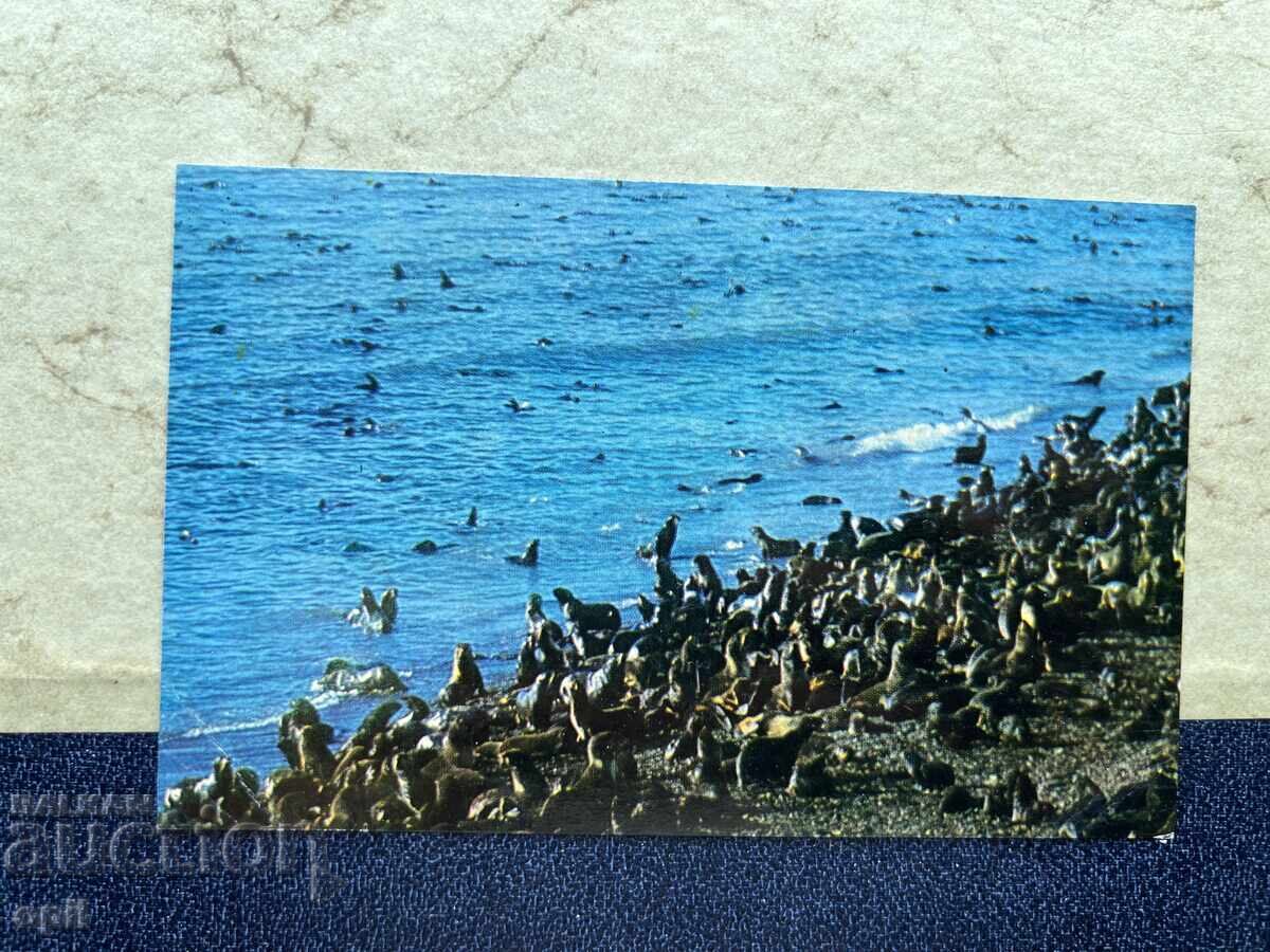 Old Postcard - USSR - 1974 Old Postcard - USSR - 1974