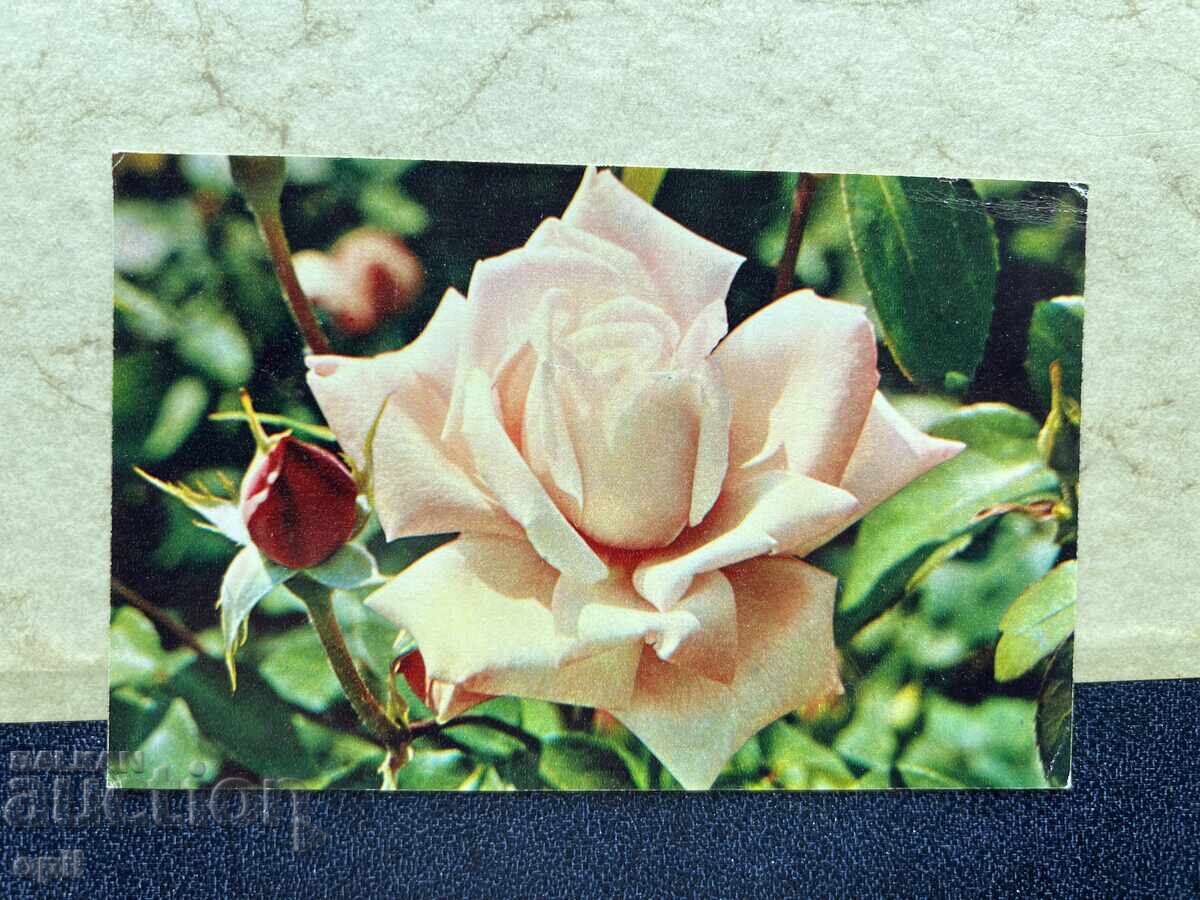 Παλιά Καρτ-ποστάλ - ΕΣΣΔ - 1975