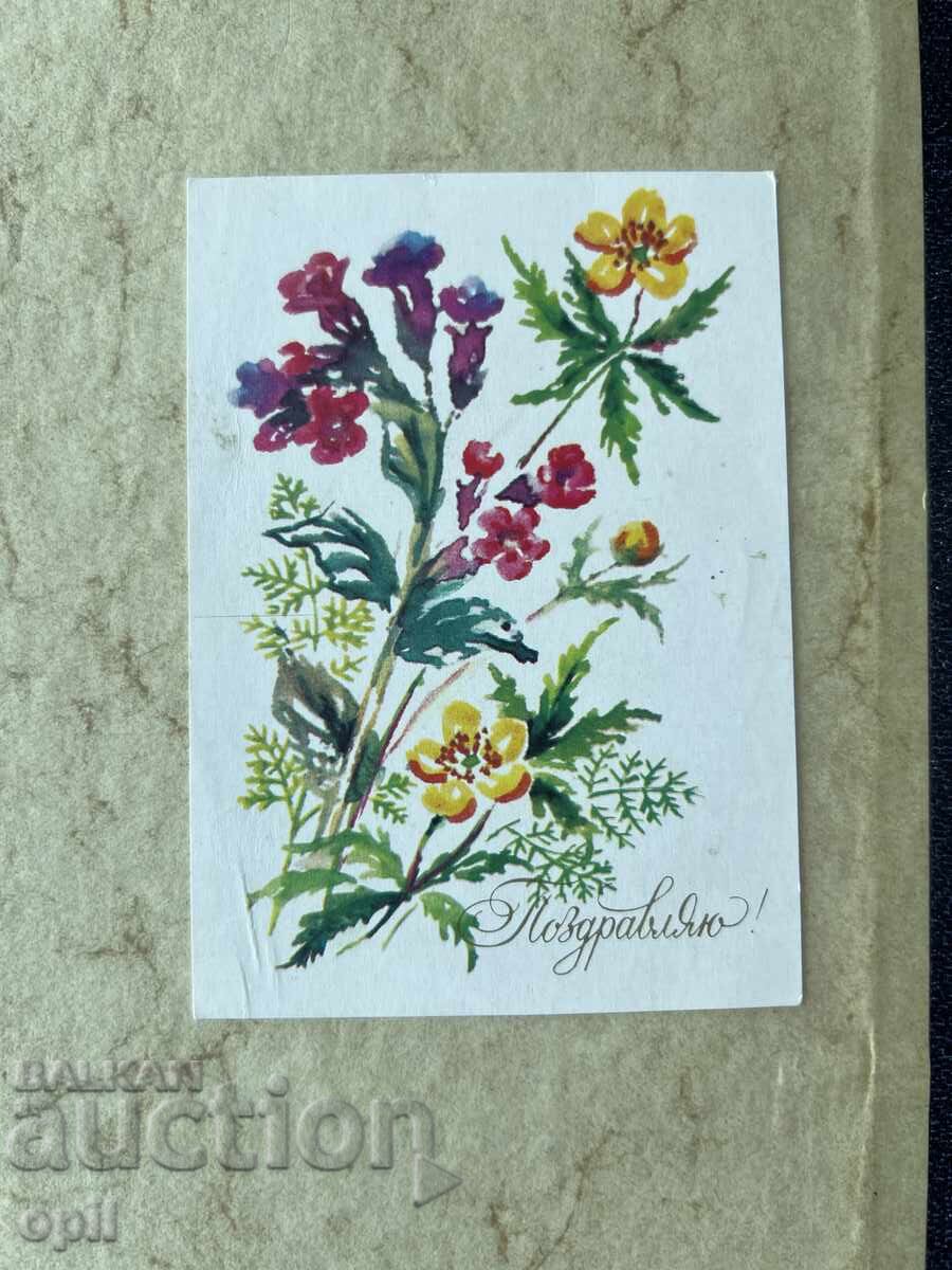 Old Postcard - USSR - Congratulations!