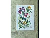 Стара Картичка - СССР - Поздравляю!