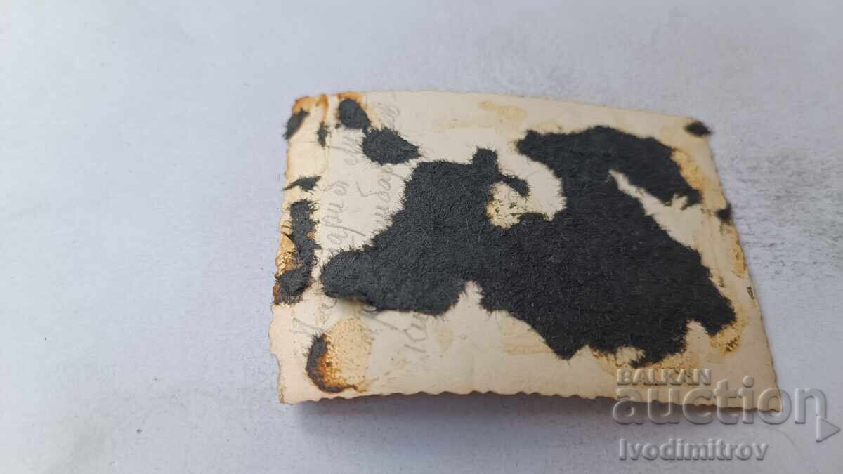 Φωτογραφία Σοφία Τρεις νεαρές γυναίκες σε έναν περίπατο με τιμή 2.45 BGN | € 1.25