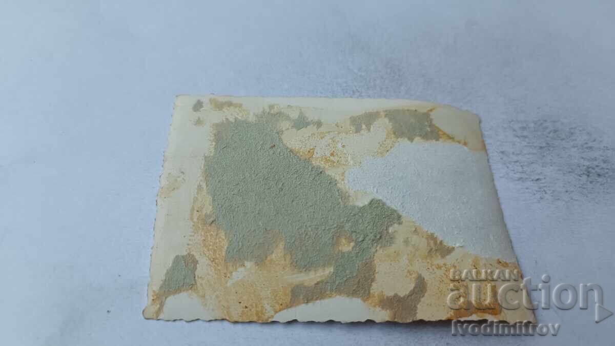 Photo of Soldiers Playing Cards in Tall Grass with price 1.85 BGN | € 0.95