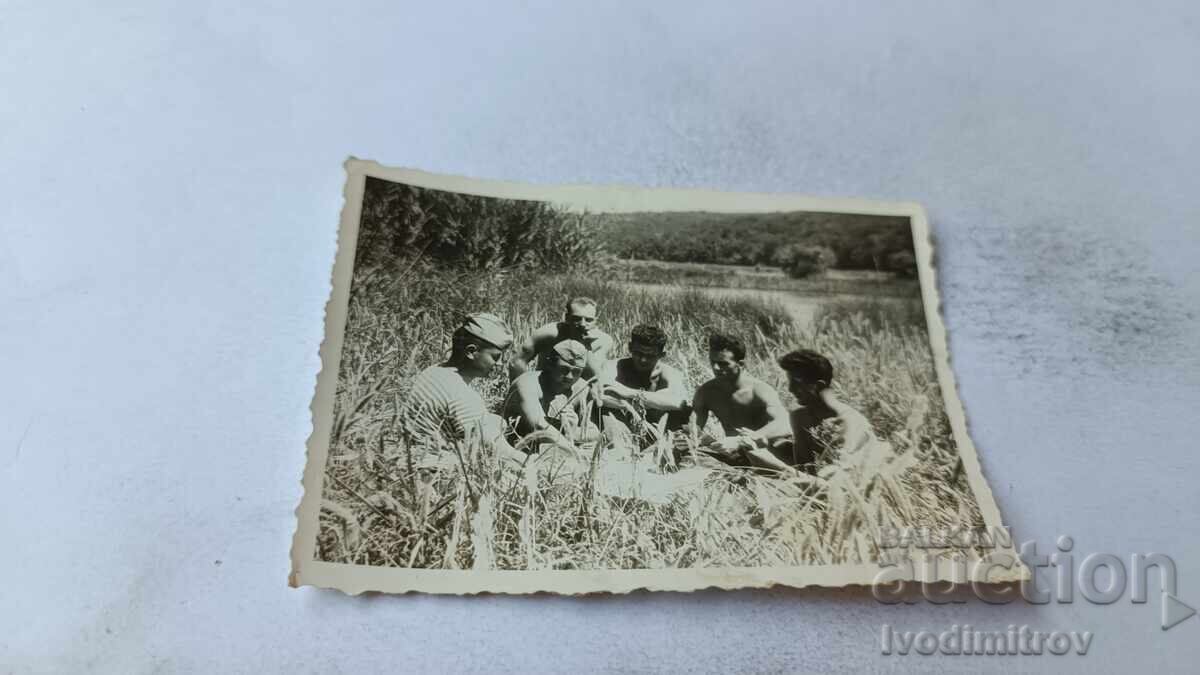 Photo of Soldiers Playing Cards in Tall Grass