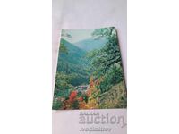 Ταχυδρομική κάρτα Μονή Ρίλα 1978