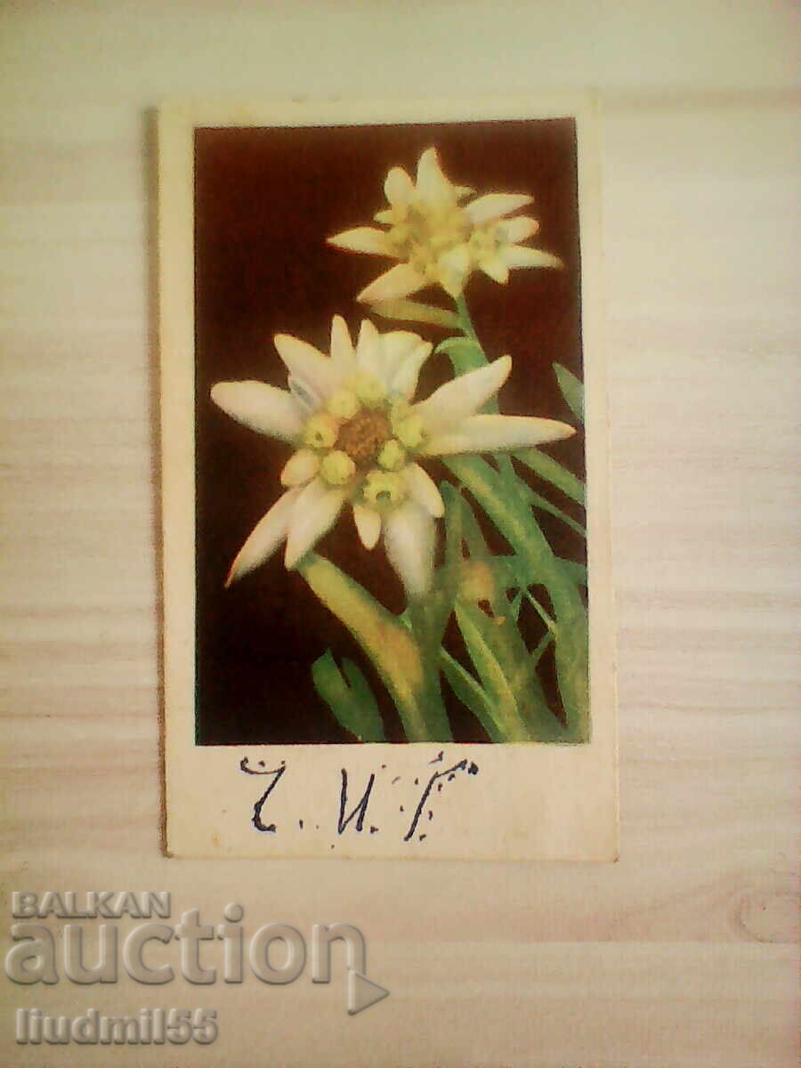 ΠΑΛΑΙΟ ΚΑΡΤ 1947 ΠΑΛΑΙΟ ΚΑΡΤ 1947