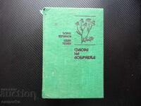Floră Dobrogeană plante flori copaci botanică arbuști