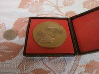 Rare USSR Plaque, Excellent Condition
