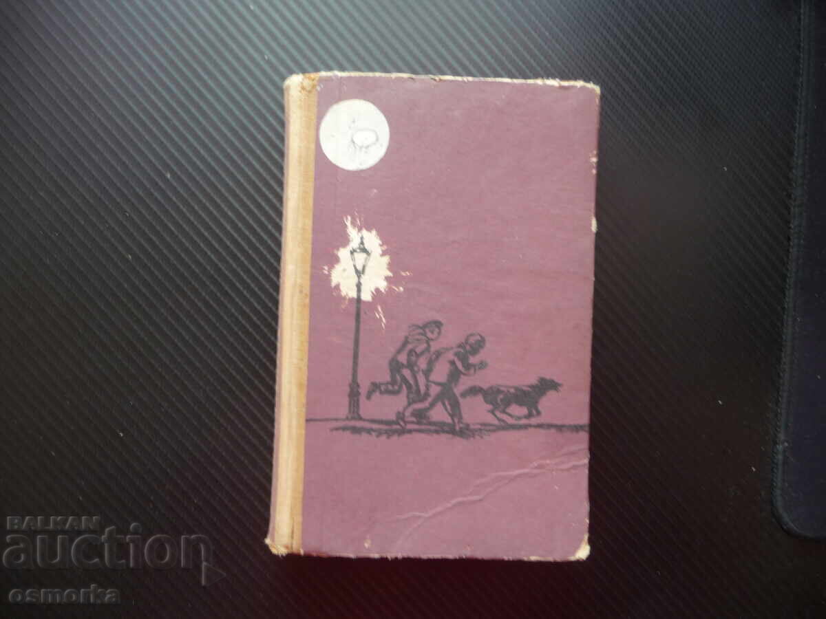 Friends from Petrograd: Veniamin Vakhman, a novel about Russian comrades