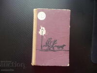 Friends from Petrograd: Veniamin Vakhman, a novel about Russian comrades