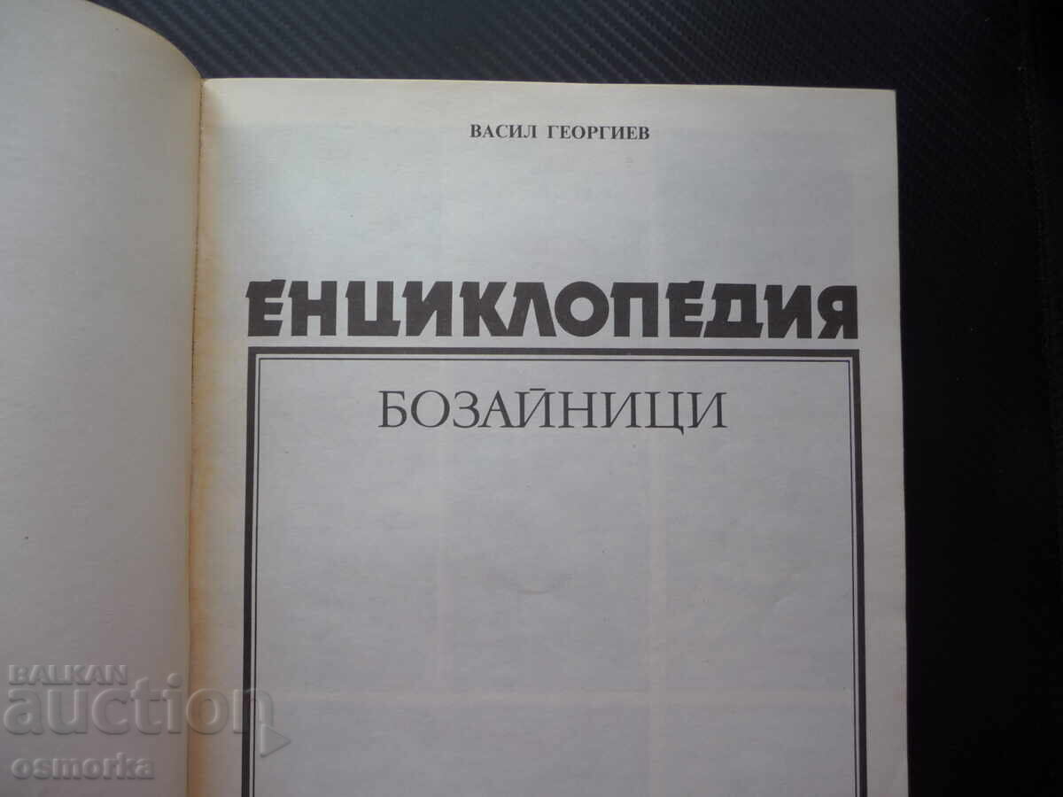 Енциклопедия: Бозайници най голямото животно бързото силното с цена 14.00 лв. | € 7.16 Енциклопедия: Бозайници най голямото животно бързото силното с цена 14.00 лв. | € 7.16