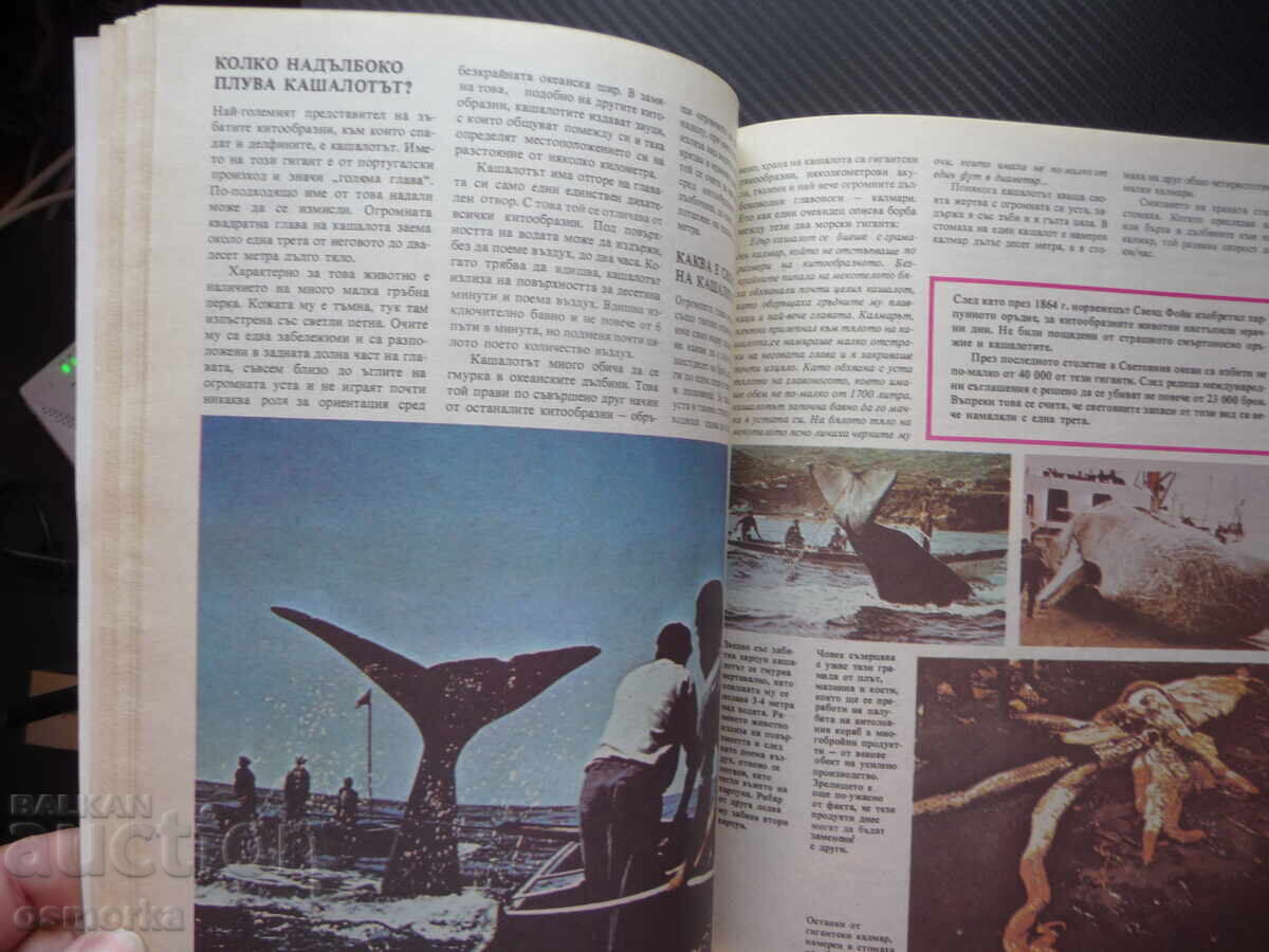 Доставка на Енциклопедия: Бозайници най голямото животно бързото силното Доставка на Енциклопедия: Бозайници най голямото животно бързото силното