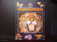 Enciclopedie: Mamifere, cel mai mare animal, cel rapid, cel puternic