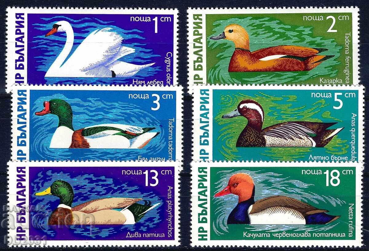 Βουλγαρία 1976 - πουλιά MNH