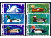 Βουλγαρία 1976 - πουλιά MNH
