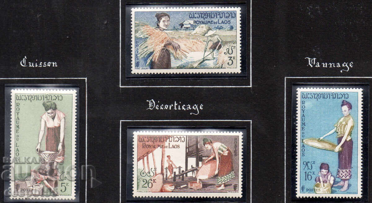 1957. Λάος. Καλλιέργεια ρυζιού. 1957. Λάος. Καλλιέργεια ρυζιού.