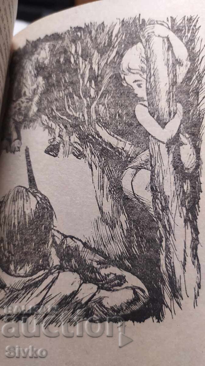 Δημοπρασία Κακαβίδες - Τζον Γουίνταμ, πρώτη έκδοση, πολλές εικονογραφήσεις