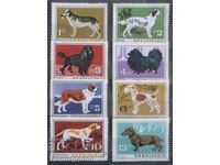 България кучета, 1964