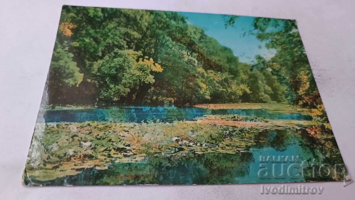 Ταχυδρομική κάρτα Ροποτάμο ποταμός 1961