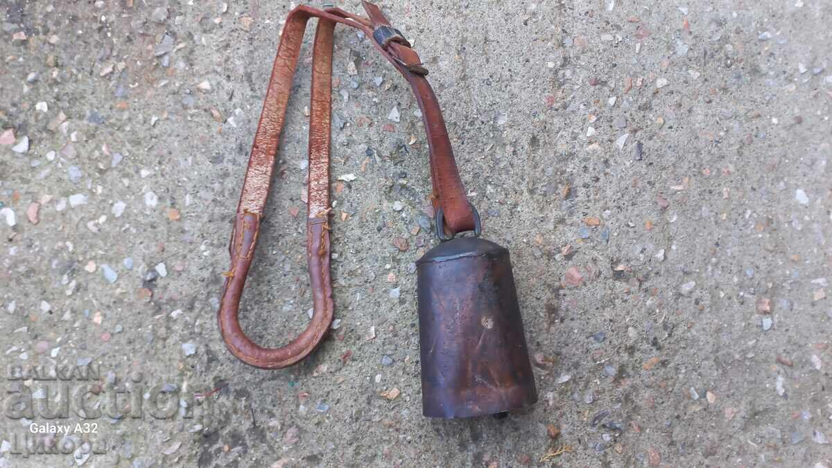 ΣΤΑΡ ΤΣΑΝ ΚΑΜΠΑΝΑ ΤΙΜΠΕΛΕΚ ΚΛΟΠΚΑ