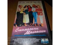 Magnolii de oțel - Caseta video