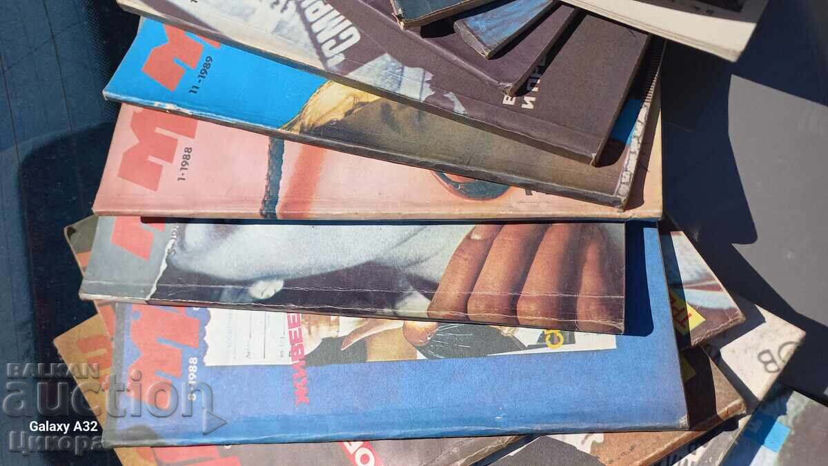 Auction Collection of Youth - 17 issues Auction Collection of Youth - 17 issues