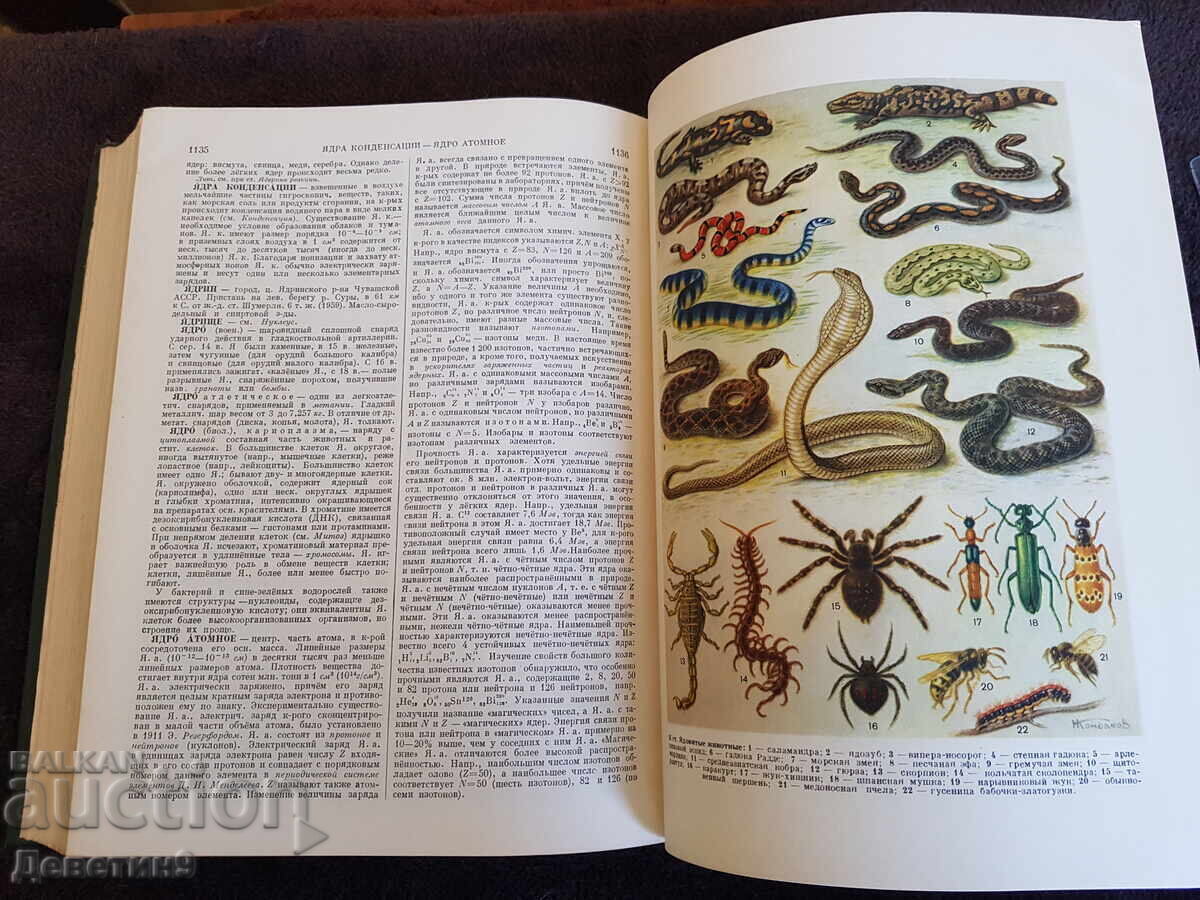 Delivery of Small Soviet Encyclopedia, Volume 10 - 1960