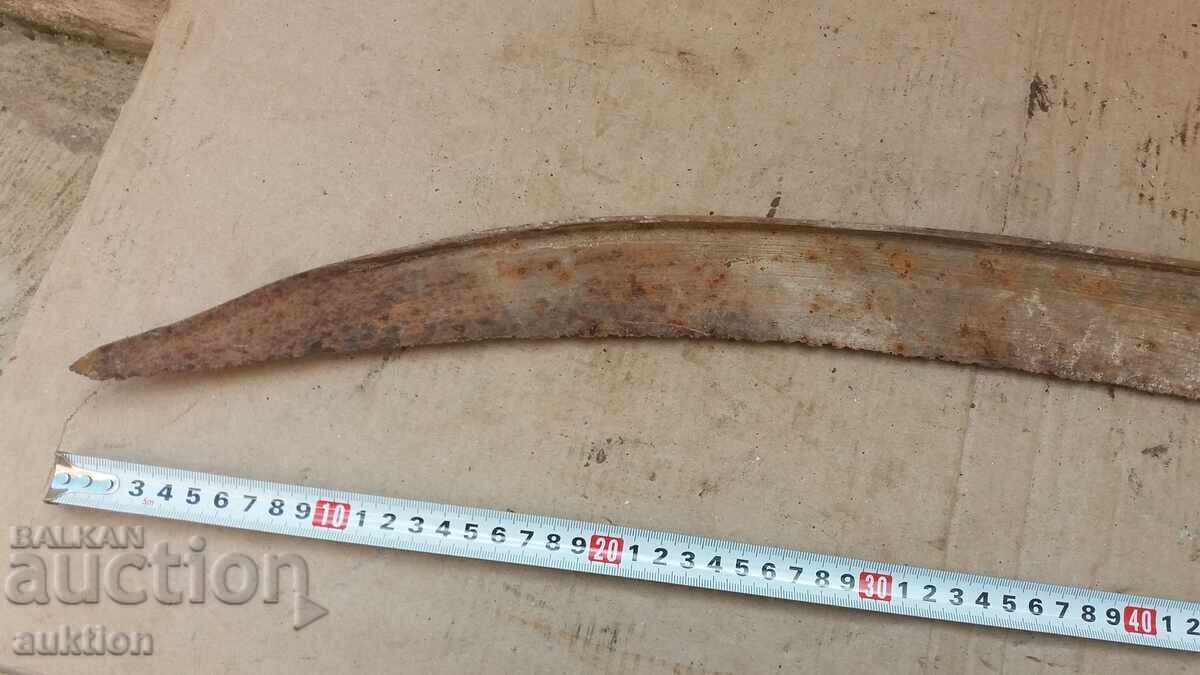 PĂR BĂTRÂN CU MARCHE - 5