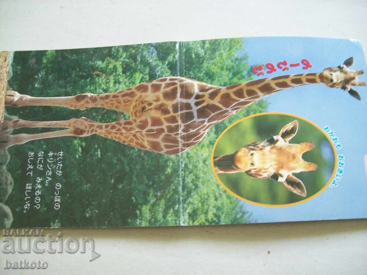 Δημοπρασία Ιαπωνικό παιδικό βιβλίο - ζώα