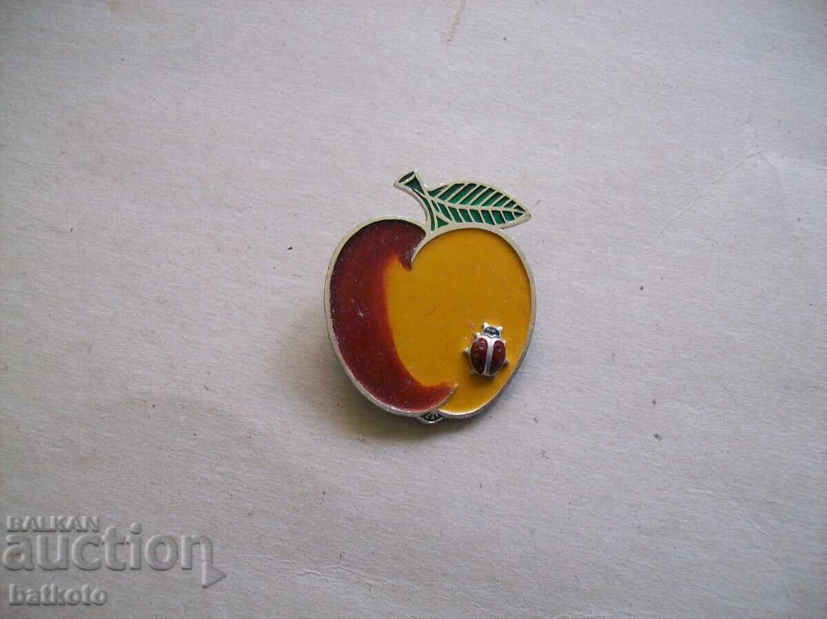 Ornament, insignă Ornament, insignă