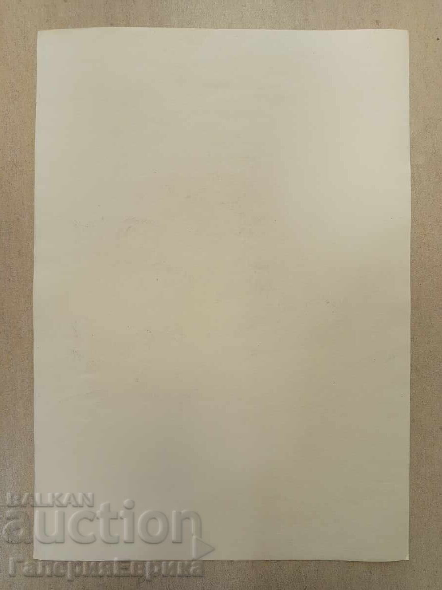 Licitație Irena Dilkova grafică Licitație Irena Dilkova grafică