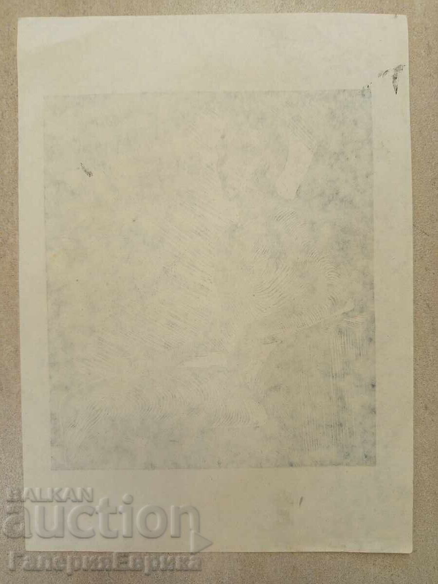 Licitație Irena Dilkova grafică Licitație Irena Dilkova grafică