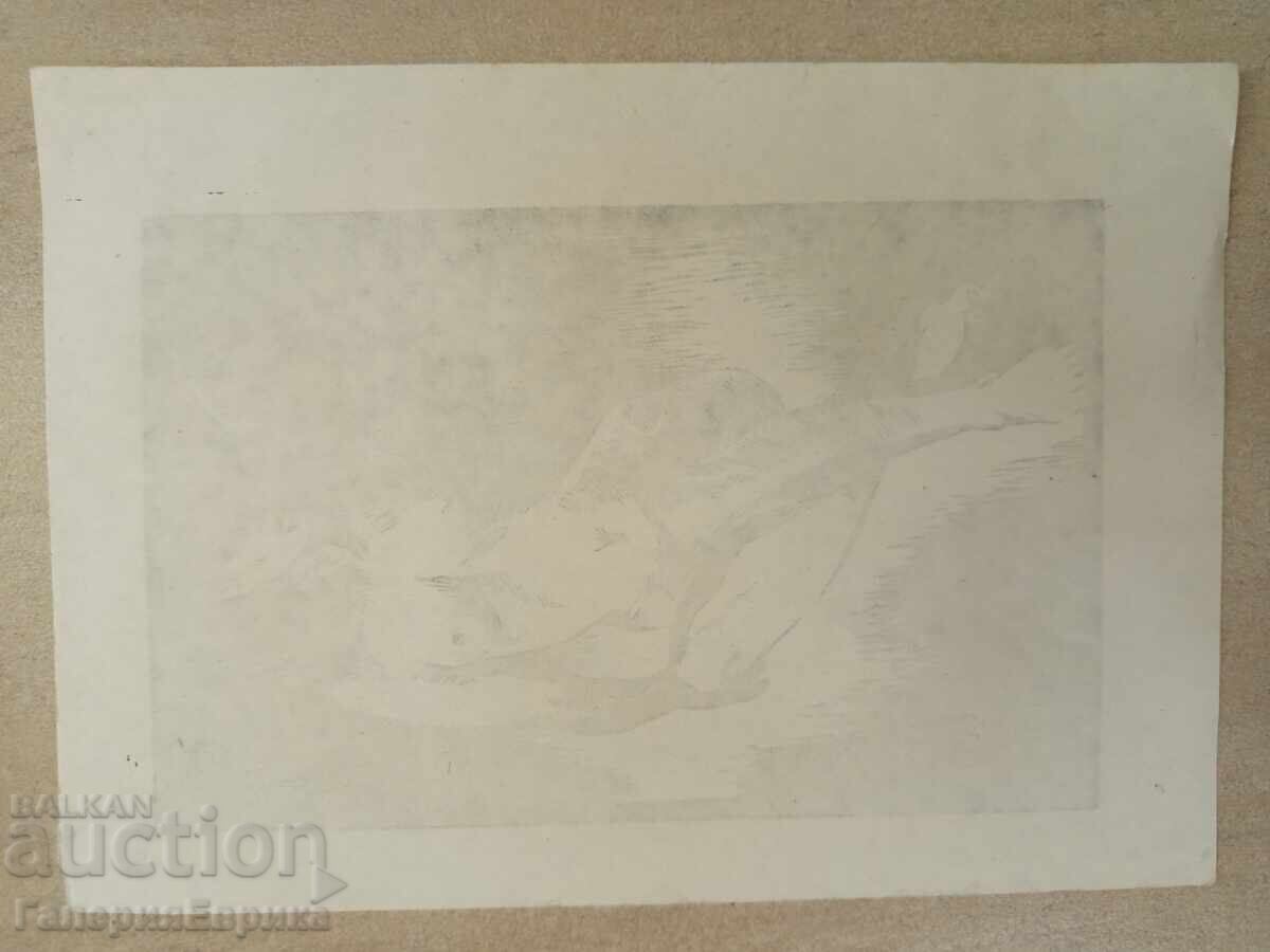 Licitație Irena Dilkova grafică Licitație Irena Dilkova grafică