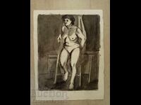 Irena Dilkova grafică