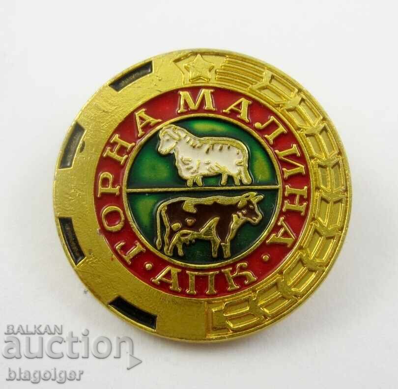 ΑΠΚ Γκόρνα Μαλίνα-Σοσιαλισμός-Κομμουνισμός