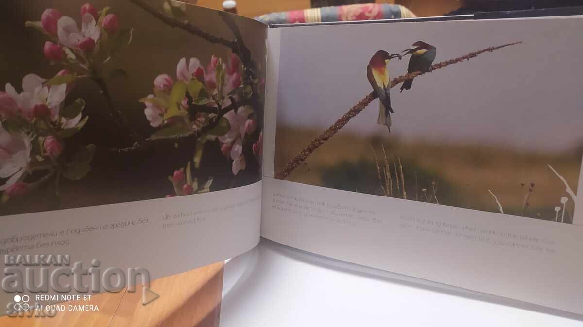 Delivery of Love Gives Birth to Suns, 72 Thoughts of Teacher Peter Deunov, Many Delivery of Love Gives Birth to Suns, 72 Thoughts of Teacher Peter Deunov, Many