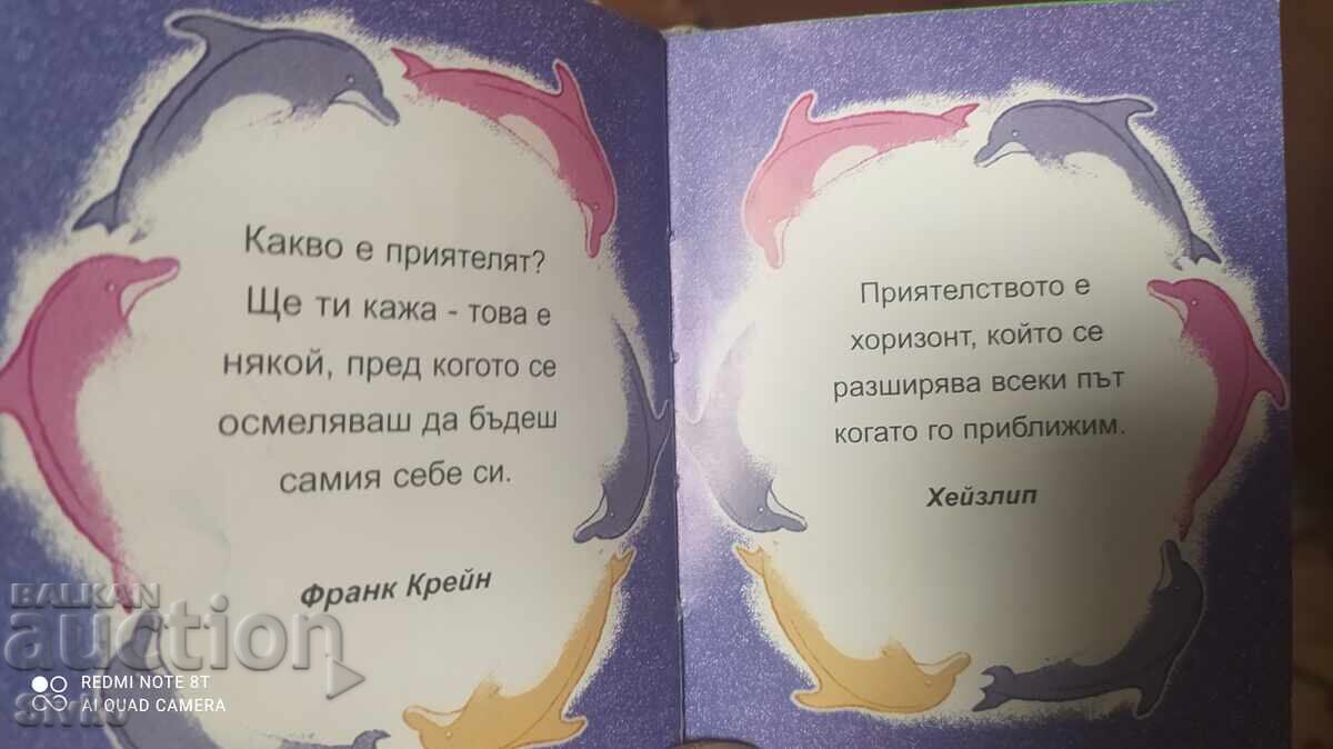 Mica cărticică despre prietenie - 6 Mica cărticică despre prietenie - 6