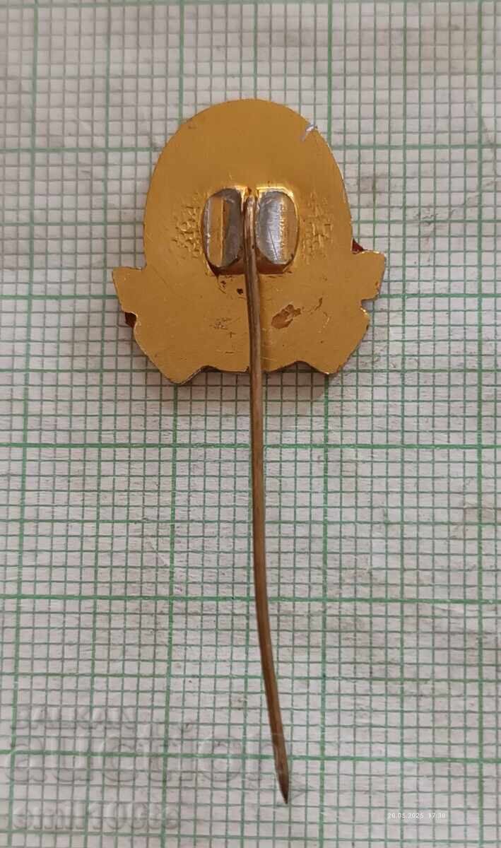 Σήμα - Ποδοσφαιρικός Σύλλογος CSKA - 6