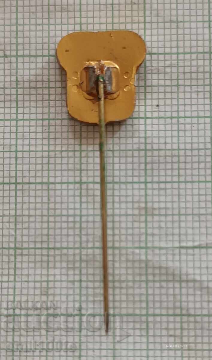 Σήμα - Ποδοσφαιρικός Σύλλογος Σλίβεν - 5