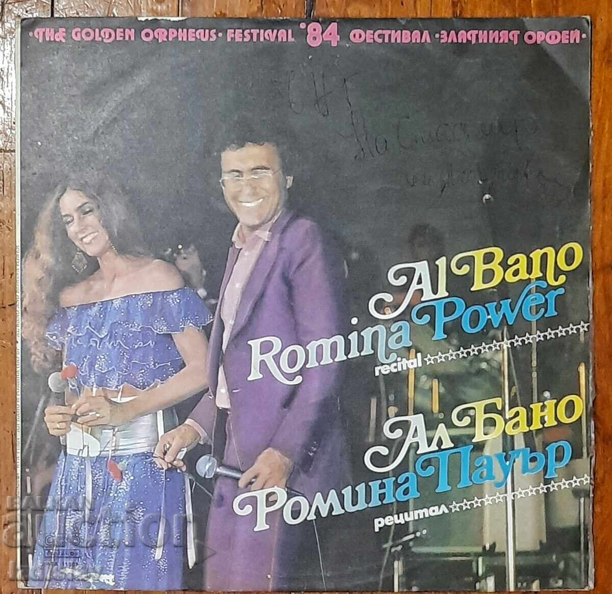 Disc de gramofon de colecție Disc de gramofon de colecție