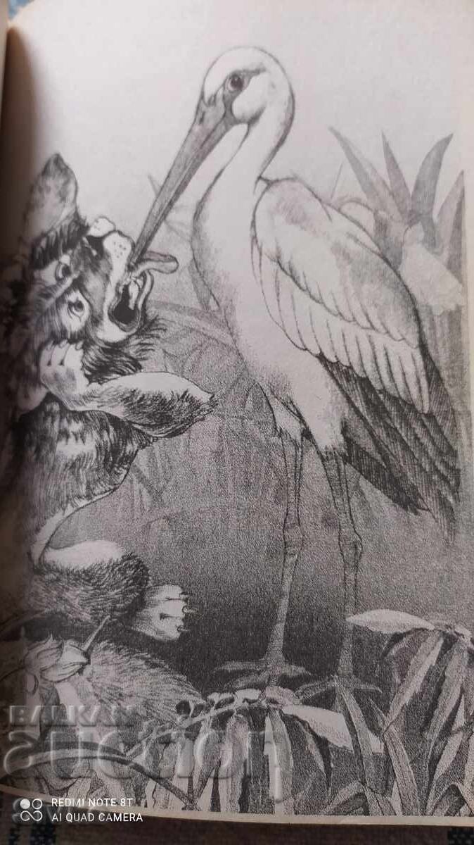 Fables, Jean de La Fontaine, many illustrations - 5 Fables, Jean de La Fontaine, many illustrations - 5