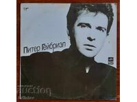 Disc de gramofon de colecție