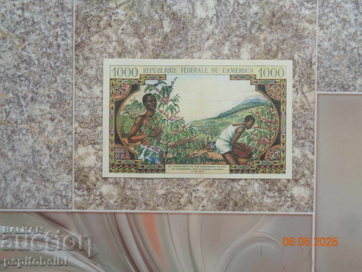 Bancnote Camerun copii sunt - 6