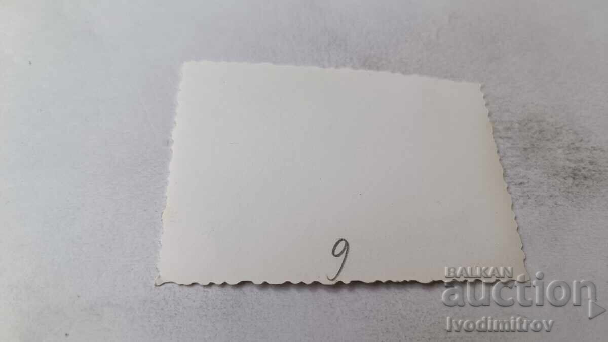 Photo: Young Man and Young Girl in the Meadow with price 1.65 BGN | € 0.84 Photo: Young Man and Young Girl in the Meadow with price 1.65 BGN | € 0.84