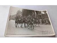 Photo of a Horse Parade