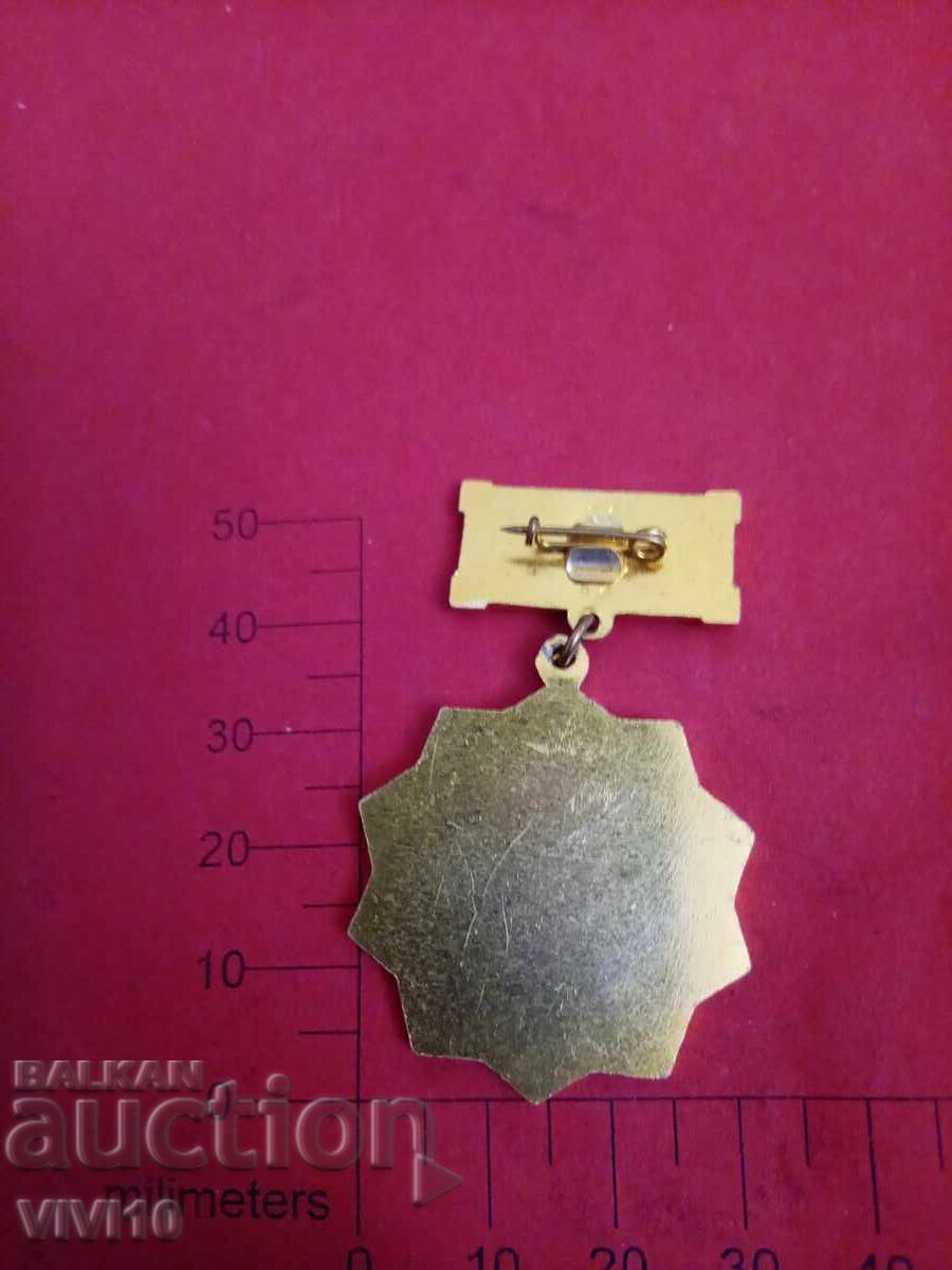 Energy Excellence Badge with price € 5.11 | 9.99 BGN