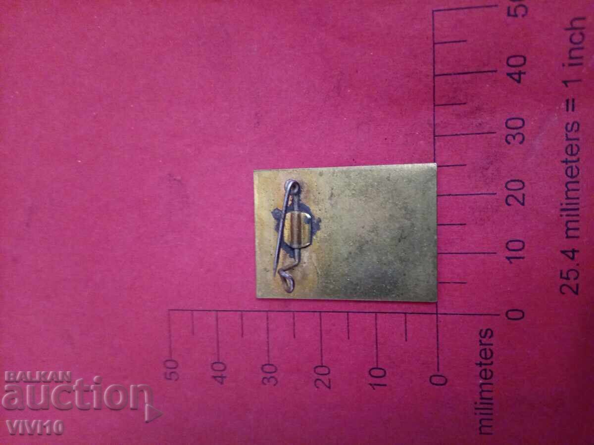 Badge 60g magazine tourist with price € 5.11 | 9.99 BGN