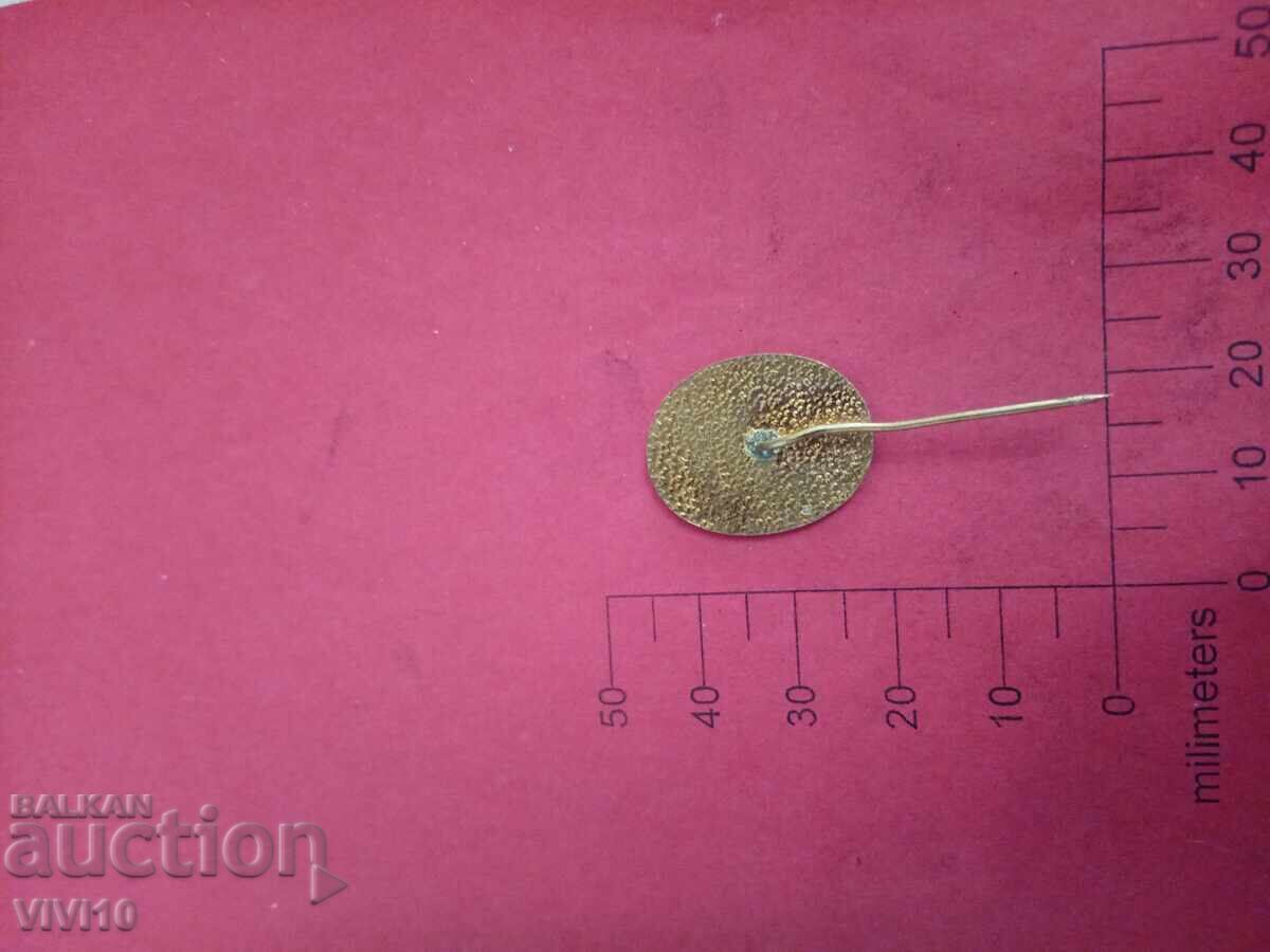 Environmentalist Badge with price 10.00 BGN | € 5.11 Environmentalist Badge with price 10.00 BGN | € 5.11