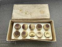 Εκπαιδευτικό Μοντέλο Εμβρυακής Ανάπτυξης στον Άνθρωπο