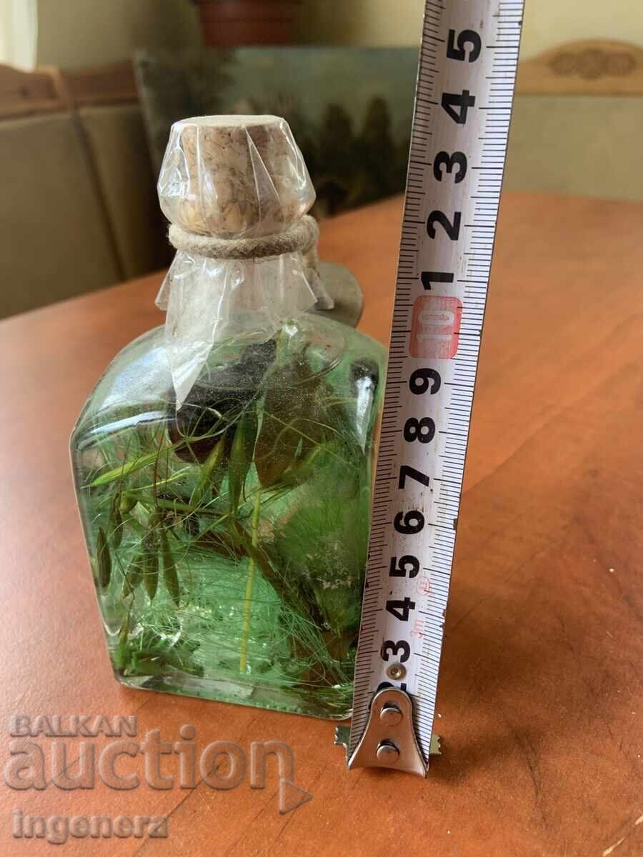 ШИШЕ С ВОДОРАСЛИ И ТЕЧНОСТ СТЪКЛО СУВЕНИР с цена 8.00 лв. | € 4.09